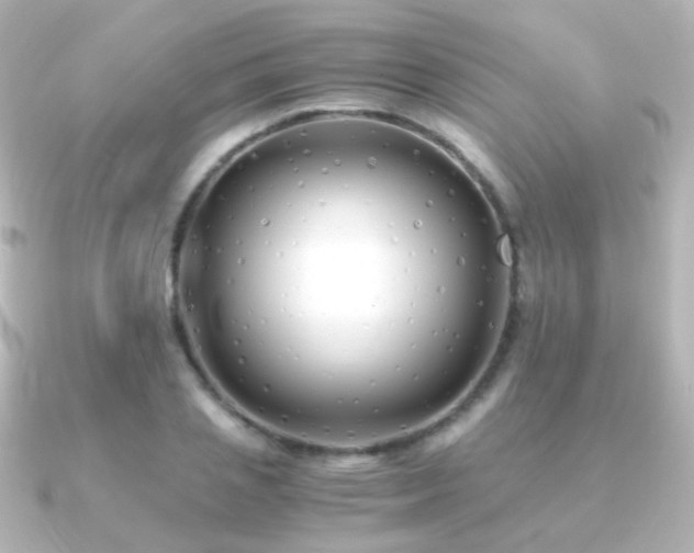 X0000091240837200708091434