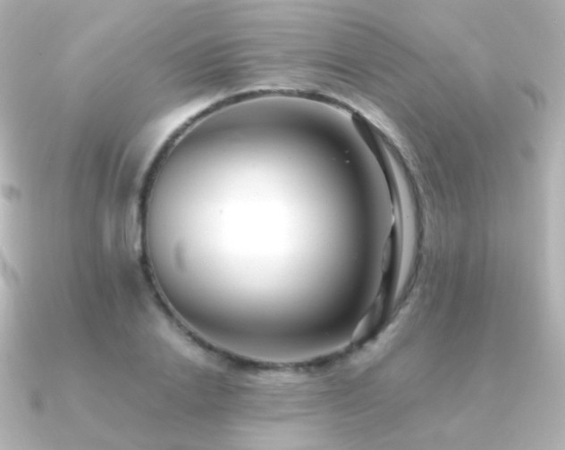 X0000091240838200708091434