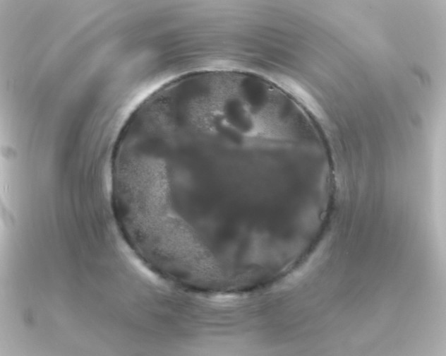 X0000091240839200708091434