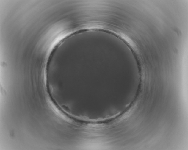 X0000091240840200708091434