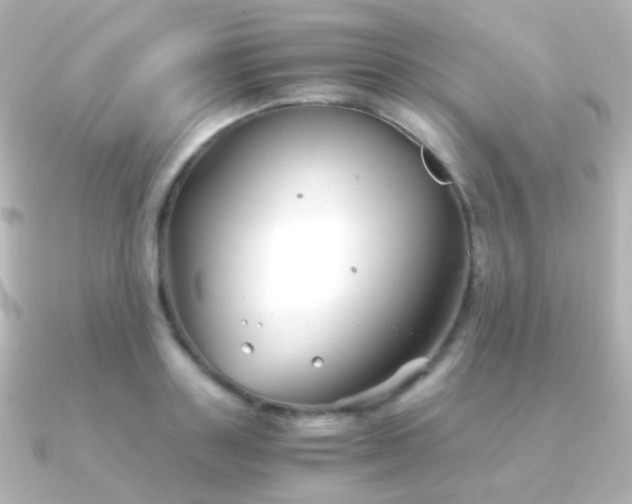 X0000091240843200708091434