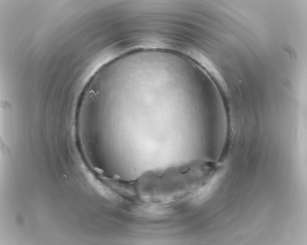 X0000091240845200708091434