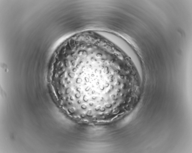 X0000091240846200708091434