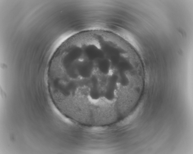 X0000091240847200708091434