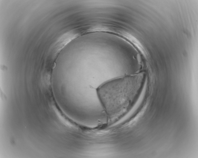 X0000091240849200708091434