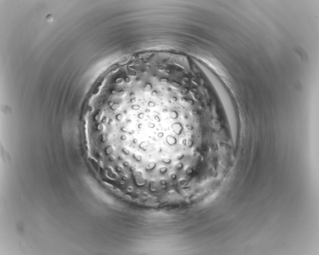 X0000091240850200708091434