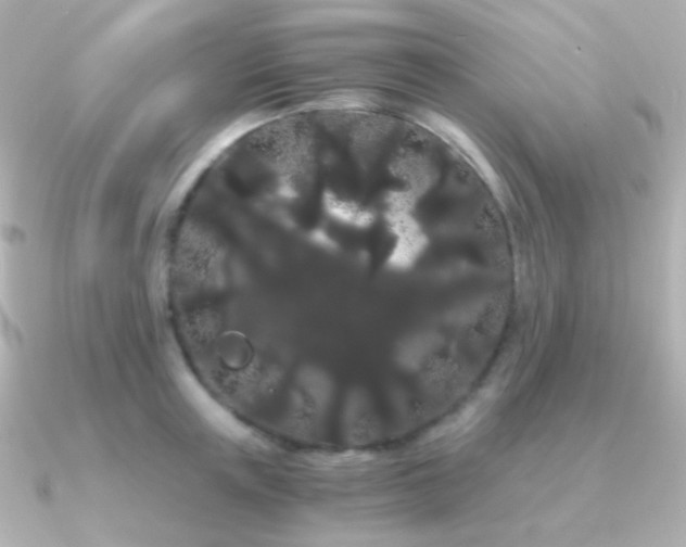 X0000091240851200708091434