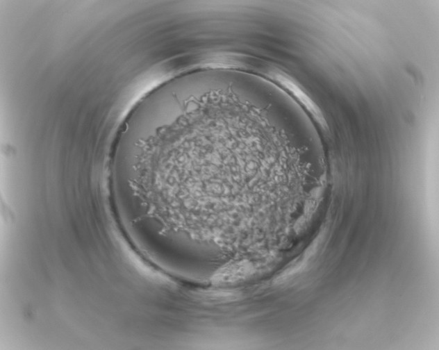 X0000091240853200708091434