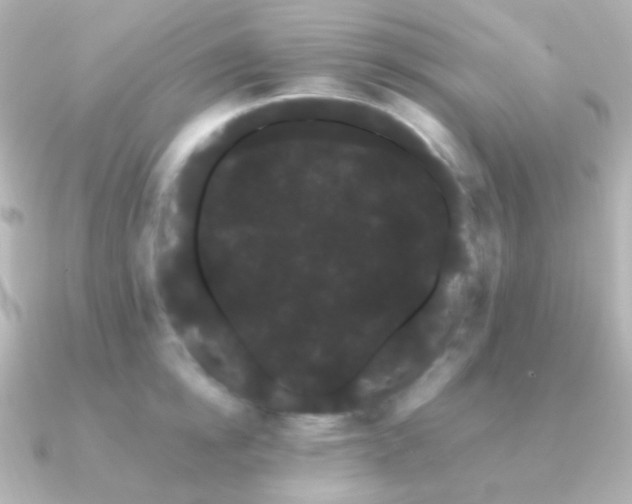 X0000091240854200708091434