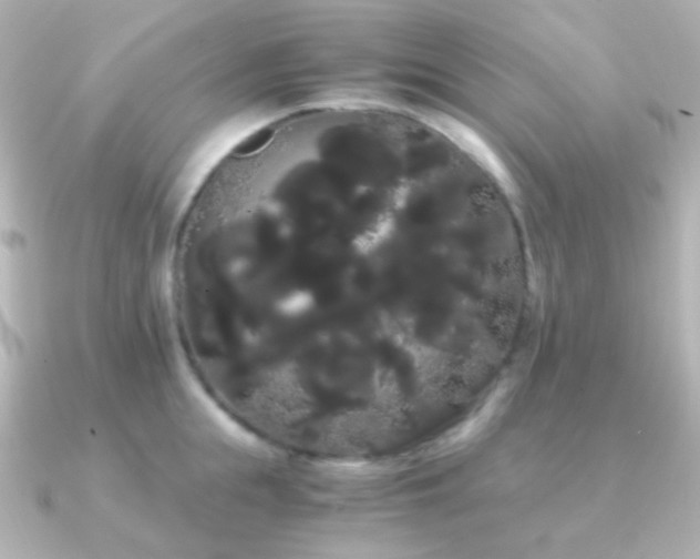 X0000091240855200708091434