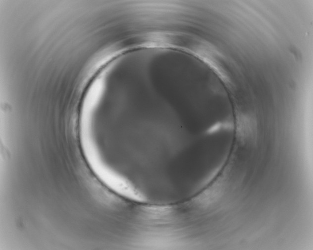 X0000091240856200708091434