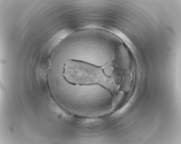X0000091240857200708091434