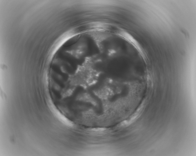 X0000091240859200708091434