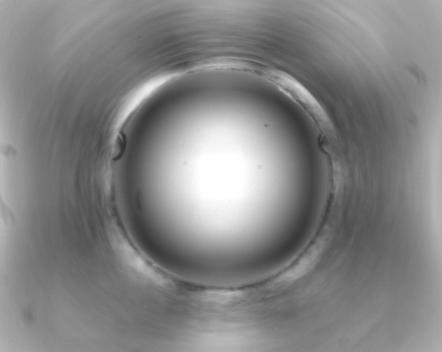 X0000091240860200708091434