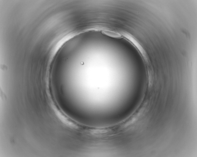 X0000091240861200708091434