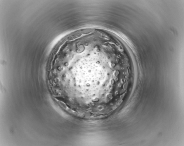 X0000091240862200708091434