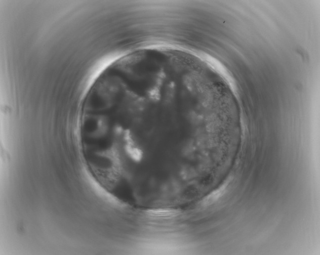 X0000091240863200708091434