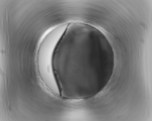 X0000091240864200708091434