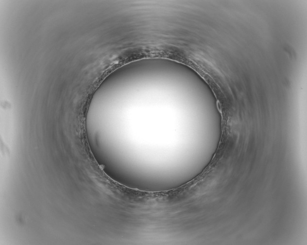X0000091240865200708091434