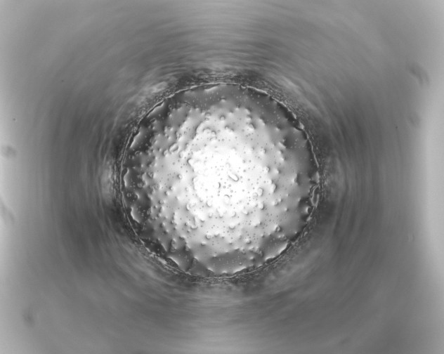 X0000091240866200708091434