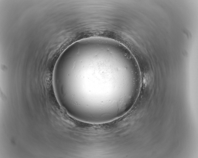 X0000091240867200708091434