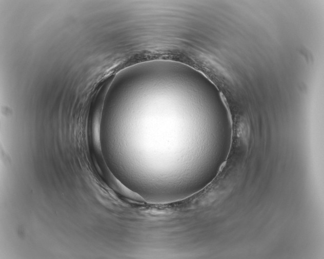 X0000091240868200708091433