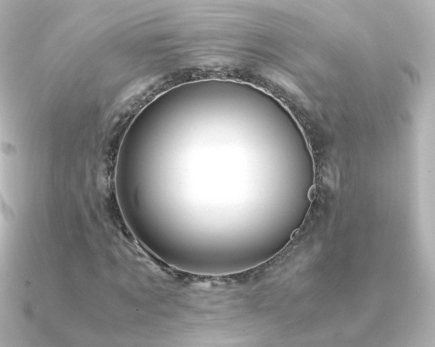 X0000091240869200708091433