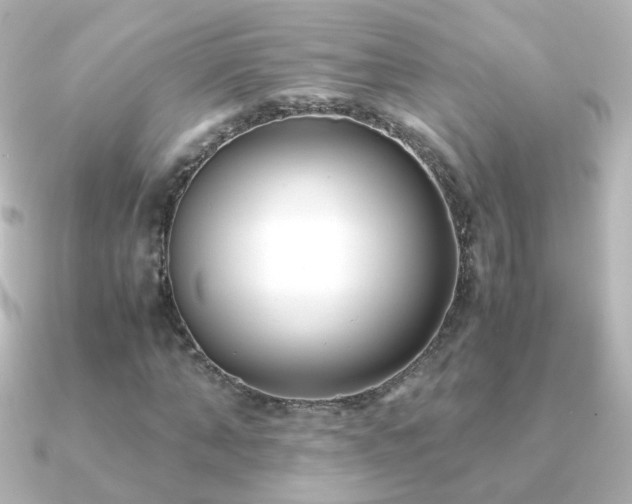 X0000091240870200708091433