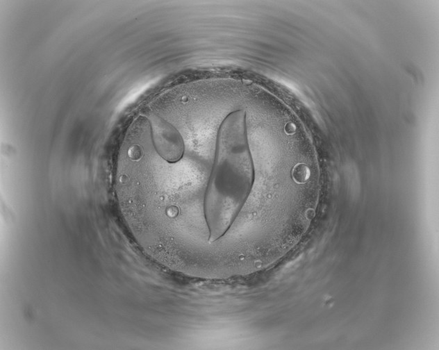 X0000091240871200708091433