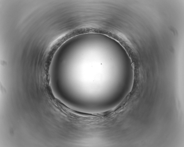 X0000091240872200708091433