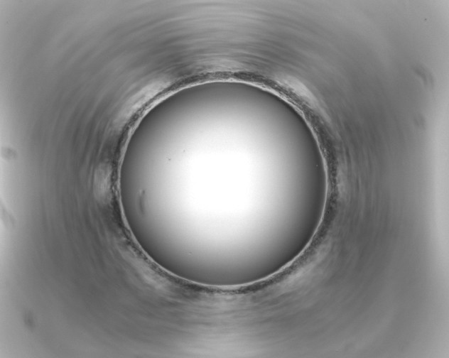 X0000091240873200708091433