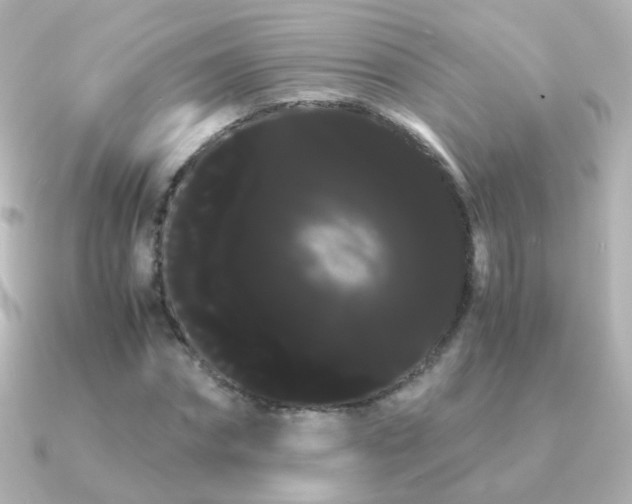 X0000091240874200708091433