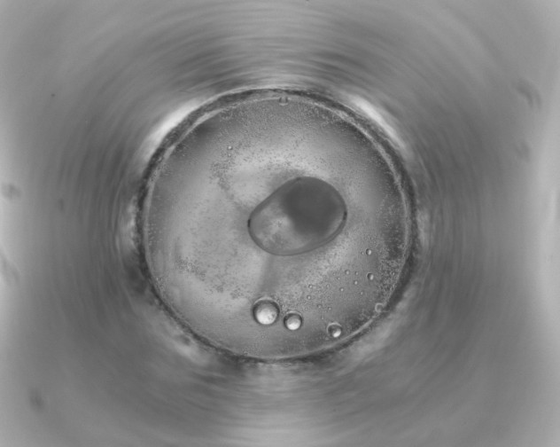 X0000091240875200708091433