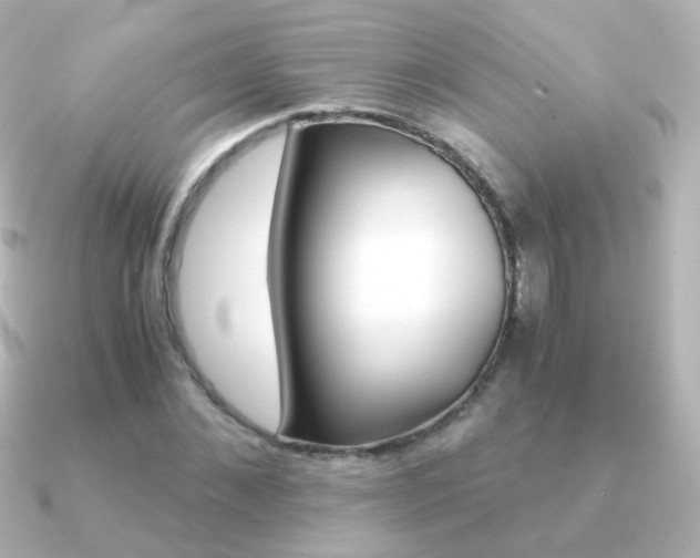X0000091240876200708091433