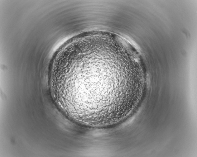 X0000091240877200708091433