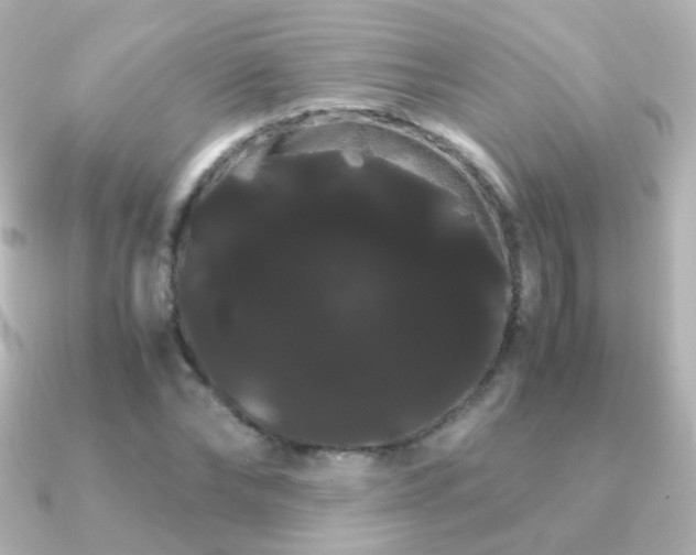 X0000091240878200708091433
