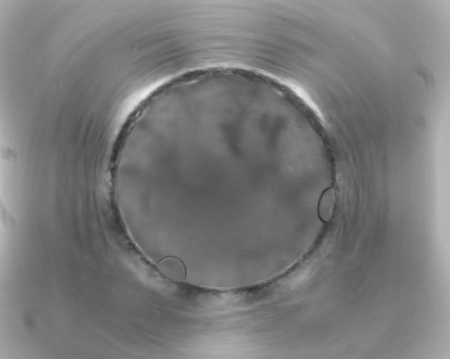 X0000091240879200708091433