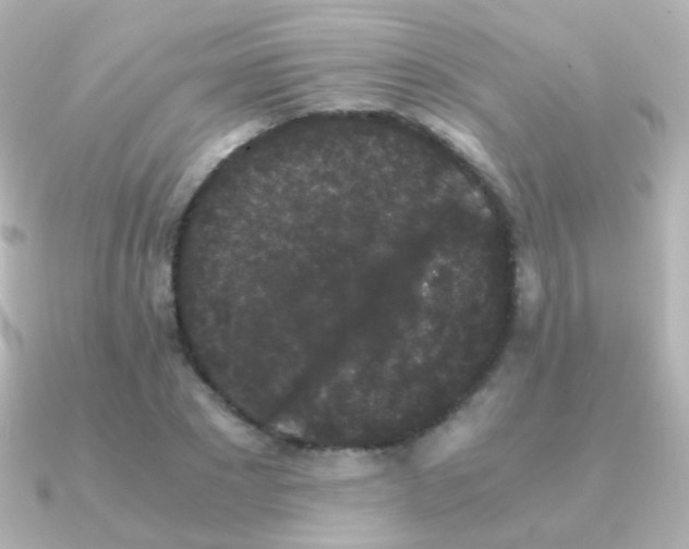 X0000091240881200708091433