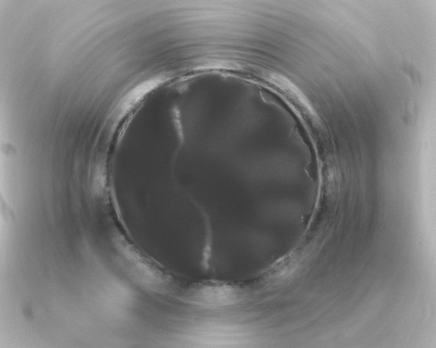 X0000091240882200708091433