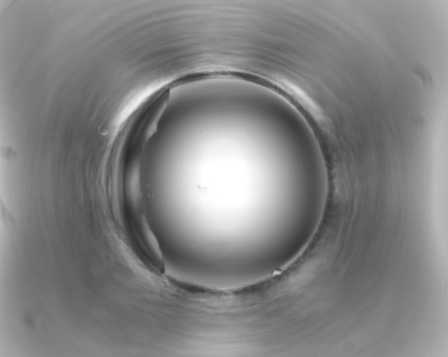 X0000091240885200708091433