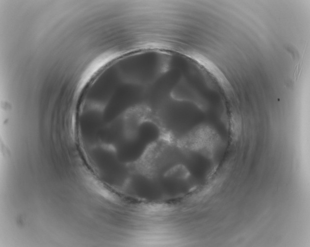 X0000091240886200708091433