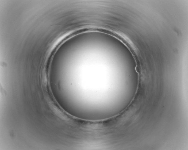 X0000091240887200708091433