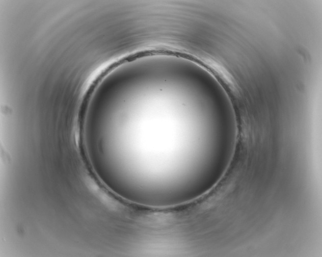 X0000091240888200708091433