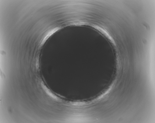 X0000091240889200708091433