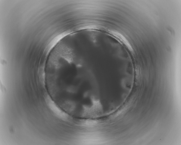 X0000091240890200708091433