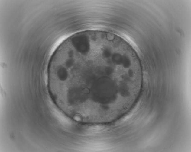 X0000091240891200708091433