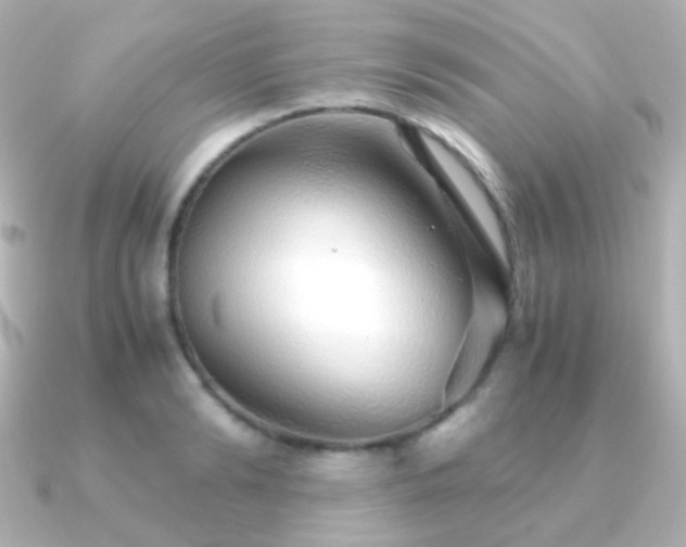 X0000091240894200708091433
