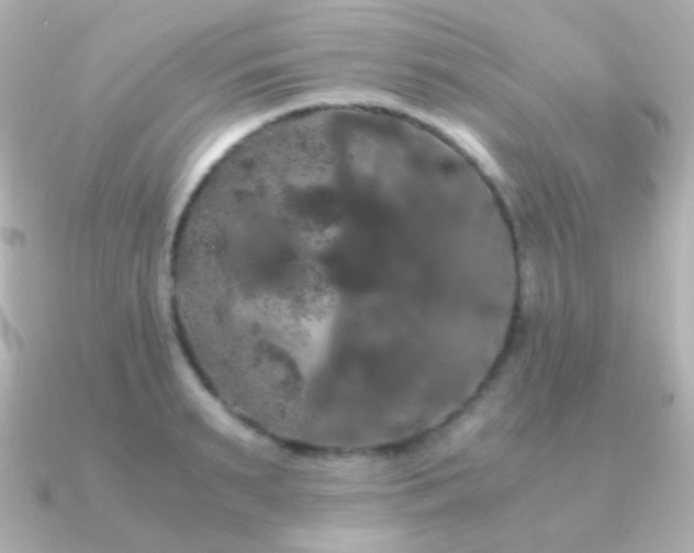 X0000091240895200708091433