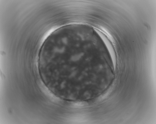 X0000091240899200708091433