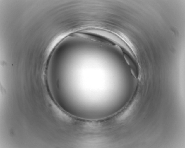 X0000091240901200708091433